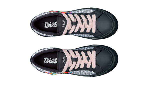 Dior And Kaws B33 Spin Sneaker "Limited And Numbered Edition"