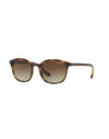 Vogue Women Sunglasses Dark brown -- --
