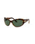 Polo Ralph Lauren Women Sunglasses Dark brown 62 mm