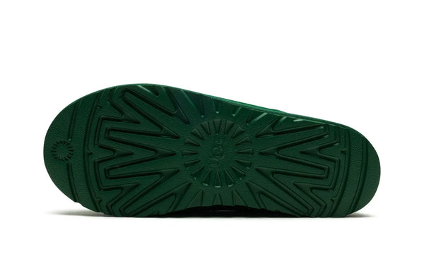 Tasman Slipper Monstera