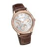 Grand Complications Perpetual Calendar Diamond Rosegold