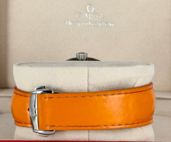 Seamaster Planet Ocean Box And Papers