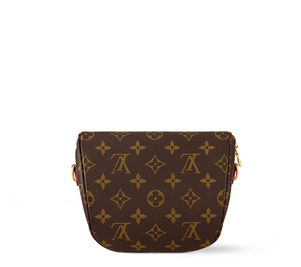 Mini Bumbag LV Monogram Small Fanny Pack Monogram M82335