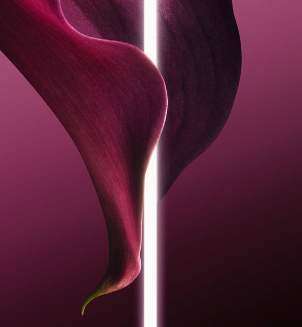 CAPTURE TOTALE SUPER POTENT CLEANSER