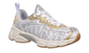 Dior Vibe Sneaker "Gold Silver"
