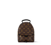 Palm Springs Mini Monogram - Women - Handbags Palm Springs Mini