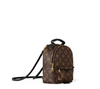 Palm Springs Mini Monogram - Women - Handbags Palm Springs Mini