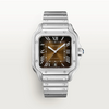 Santos de Cartier Large Model Brown Dial Steel Watch